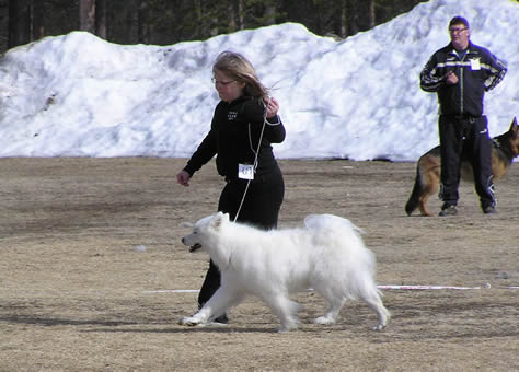 Tindra och Lovisa