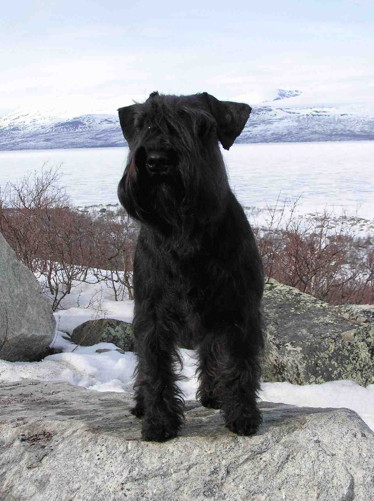 Klicka p bilden fr mer info